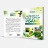 BIOTEKNOLOGI KULTUR JARINGAN PISANG: DARI LABORATORIUM KE INDUSTRI